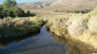 Keough hot ditch Hot springs [upl. by Carny]