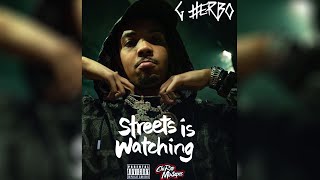 GHerbo  Streets Is Watching  FULL MIXTAPE [upl. by Yoreel]