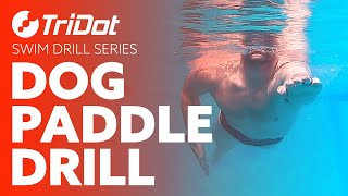 Dog Paddle Drill  TriDot Swim Drill Series [upl. by Evelinn]