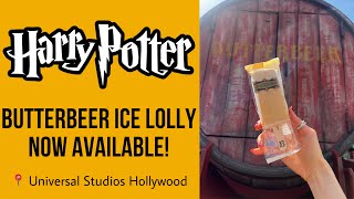 Harry Potter Butterbeer Ice Cream Bar is Here 🍺 [upl. by Duhl]