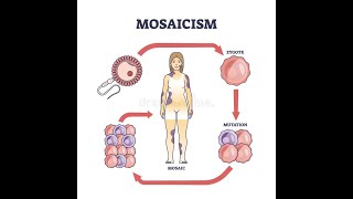 Understanding the concept of chimerism Chimera Mosaicism Natural chimerism [upl. by Enaoj]