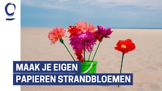 Maak je eigen papieren strandbloem [upl. by Nishi]