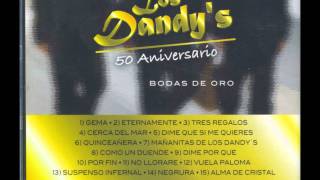 QUINCEAÑERA LOS DANDYS [upl. by Onnem]