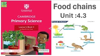 Cambridge primary science grade 3  Food chainScience learners book Unit43 [upl. by Pax]