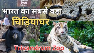 Trivandrum Zoo  भारत का सबसे बड़ा चिड़ियाघर  Trivandrum Tourist places  Largest Zoo [upl. by Proud]