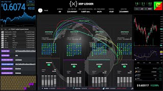 XRP price and XRPL live data  livestream  chat  history  20240728 xrp xrpl ripple [upl. by Annairda796]