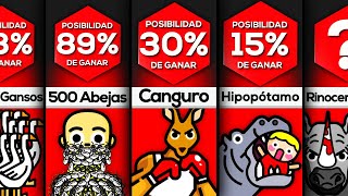 Comparación Probabilidades De Ganar Contra [upl. by Enhpad300]