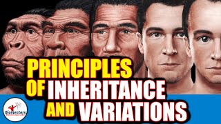 Principles Of Inheritance amp Variations l Lecture 15 l Biology l NEET [upl. by Peonir]