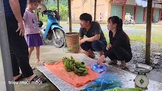 Harvest bananas to sell at the market and went to bathe and catch stream fish  triệu muội muội [upl. by Nnairrehs]