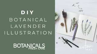 Anzeige  DIY Botanical Lavender Illustration with Botanicals Fresh Care [upl. by Parthena298]