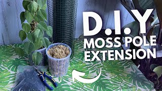 How To Make Moss Pole Extensions For House Plants [upl. by Aelak]