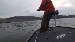 Striped Bass Guntersville Dam 05MAR17 [upl. by Okiek]