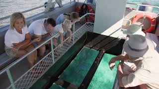 Great Barrier Reef from Bundaberg  Discover Lady Musgrave Island [upl. by Akcebar]