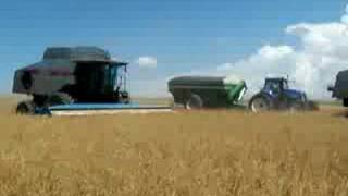 3 Gleaner R72s [upl. by Keeryt]