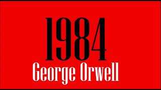 1984 di George Orwell  Parte 9  LA FINE  Audiolibro Italiano [upl. by Nels]