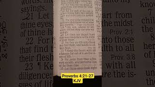 Proverbs 42127 KJV [upl. by Brew]