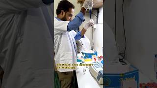 creatinine test in lab trending microscope viral science study shorts family boy girl [upl. by Notfa]