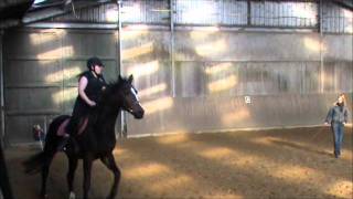 I learn how to canter and how to overcome my fear [upl. by Dorcus]