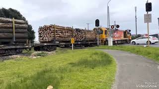 Hewletts Road Level Crossing With Shrek Audio On It [upl. by Mahgirb]