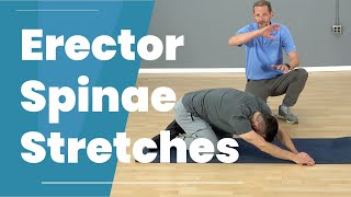 3 Erector Spinae Stretches [upl. by Anyala27]