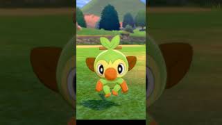 サルノリ Grookey【ポケモン剣盾】 [upl. by Nowell]