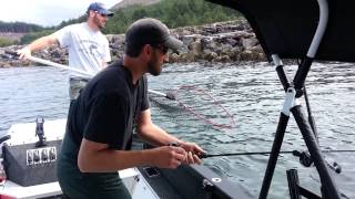 Nehalem river Oregon coast Fall Chinook trip [upl. by Ymeraj]