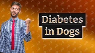 What does a diabetic dog act like [upl. by Rois]