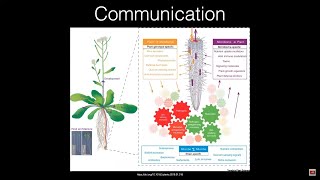 Tainio Biologicals  Plant Communication Apr 2021 [upl. by Roderigo445]