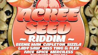 2011 Ackee Seed Riddim  Various Artists  DJJaMzZ [upl. by Mckinney152]