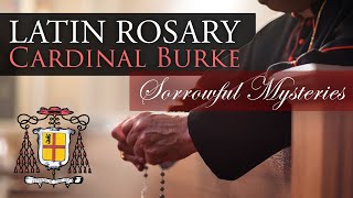 Pray the Rosary in Latin with Cardinal Burke Sorrowful Mysteries [upl. by Lay]