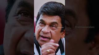 కృతి సనన్ ని చూడగానే రెచ్చిపోయిన బ్రహ్మి 😂  Brahmanandam  Dohchay  NagaChaitanya  YTShorts [upl. by Weight]