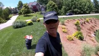 How To Landscape a Steep Slope For Beauty and Low Maintenance [upl. by Jereld]