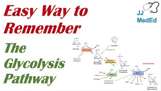 How to Remember the Glycolysis Pathway Intermediates and Enzymes  Mnemonic [upl. by Philpot]