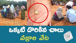 పుట్ల గూడెం కొండపై వజ్రాల వేట పంట పండింది💎  diamonds hunting diamondsPutlagudam [upl. by Hindorff]