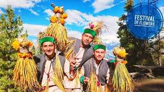 Festival Of FlowersRibba Fulaich Kinnaur HP Part 1 [upl. by Annasus]