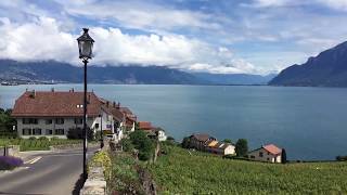 Lavaux vineyard UNESCO World Heritage site The Swiss Wine Route [upl. by Margi]