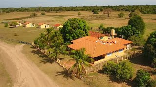 Fazenda Rancharia a margem do Rio Aquidauana no Pantanal de Mato Grosso do Sul [upl. by Semreh925]