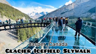 Columbia Icefield skywalk Glacier Icefield skywalk jasper skywalk skywalk jasper national park [upl. by Tommy]