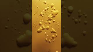 Water evaporation process timelapse 10 Hours Accelerated Reversed in 15 seconds [upl. by Kristyn]