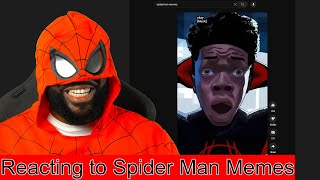 Reacting to Funny Spider Man Memes [upl. by Adelia]