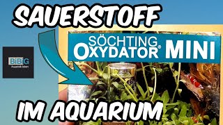 Um ausreichend Sauerstoff im Aquarium zu haben  der Oxydator MINI  Aquarium Technik  BiBiG [upl. by Kial958]