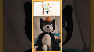 😻Jellycat original cat A 25th anniversary collection jellycat [upl. by Nnewg93]