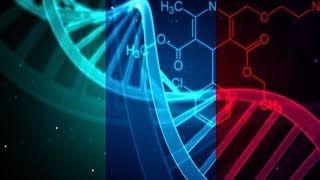 Transgenerational Epigenetic Inheritance  Epigenetic Modification  The Environment Controls Genes [upl. by Okoyik]