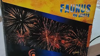 Faunus 49 Shots  Leegendary Fireworks [upl. by Youlton541]