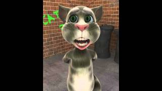 Talking Tom singing firework [upl. by Aeresed]