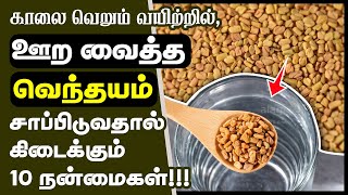 வெந்தயம் மருத்துவ நன்மைகள்  Top 10 Health Benefits of Soaked Fenugreek Seeds in Tamil  venthayam [upl. by Elocim]