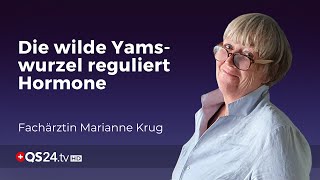 Die wilde Yamswurzel reguliert Hormone  Fachärztin Marianne Krug  Mythos  QS24 [upl. by Jeanna665]