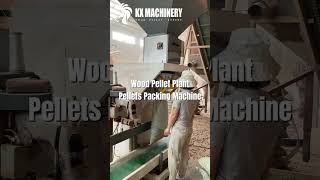 Pellets packing machine for wood pellet plant pelletmachinefactory pelletmachine biofuel [upl. by Palocz586]