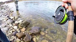 Saugeen Dennys Dam fishing for Steelhead 20171127 [upl. by Koral998]