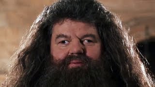 MAD HAGRID [upl. by Yoc]